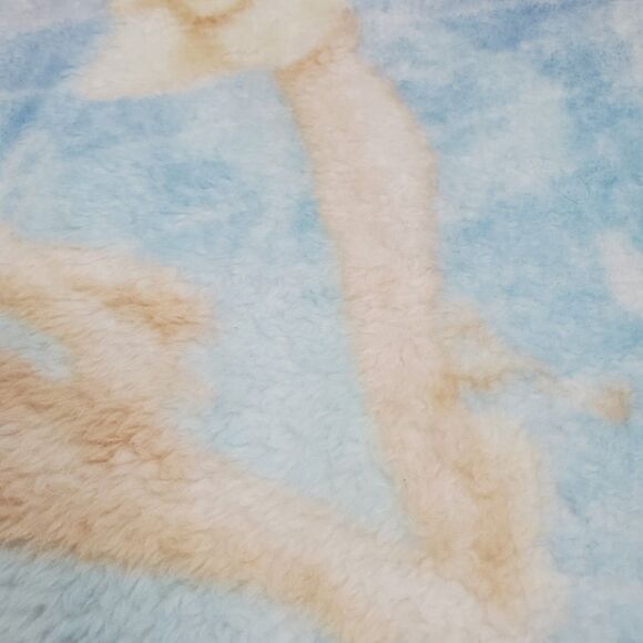 Disney Princess Ballerina Throw Blanket Cinderella Aurora Belle Providencia - Picture 5 of 9